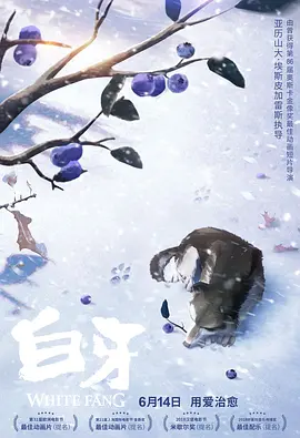 小家伙
